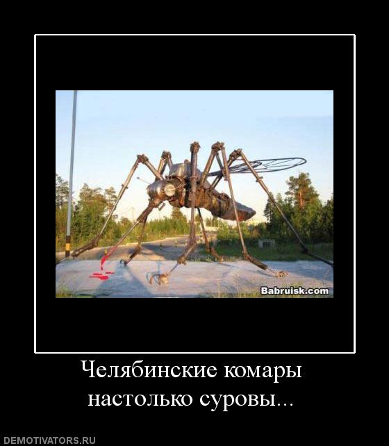 738507_chelyabinskie-komaryi-nastolko-surovyi.jpg