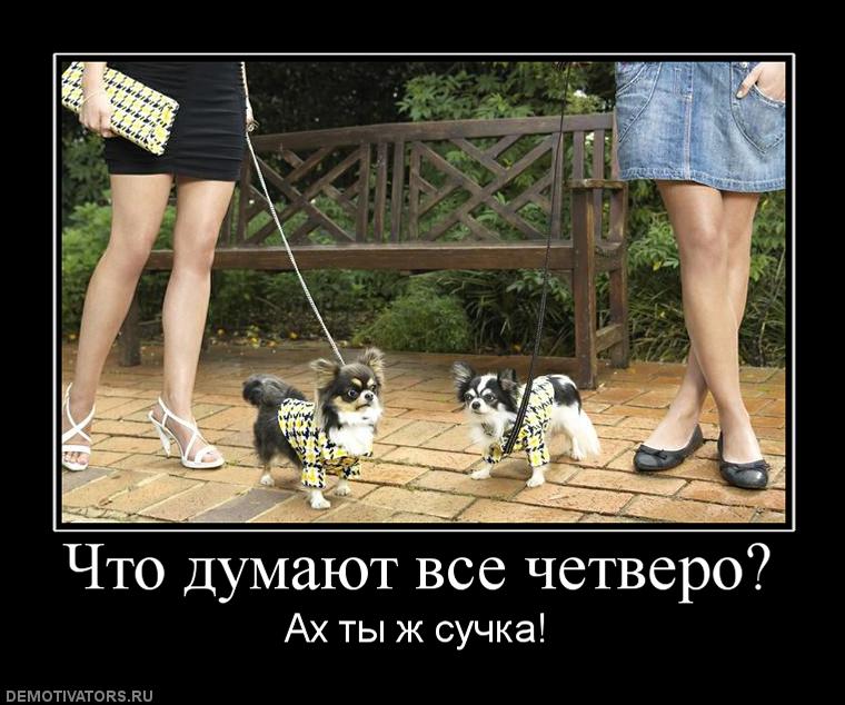 848563_chto-dumayut-vse-chetvero.jpg