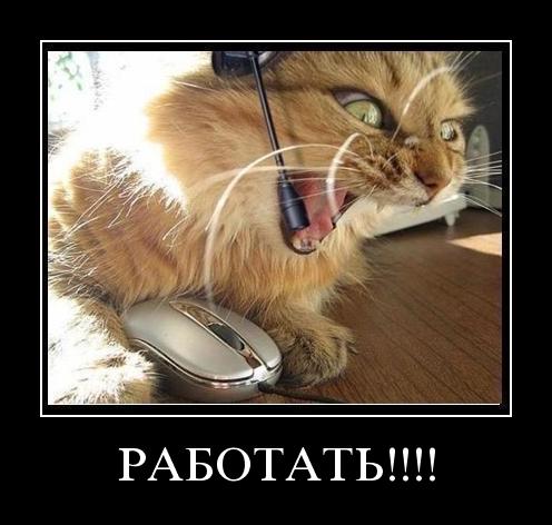 rabotat.jpg
