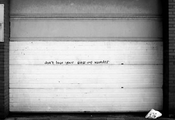 056_wonder.jpg