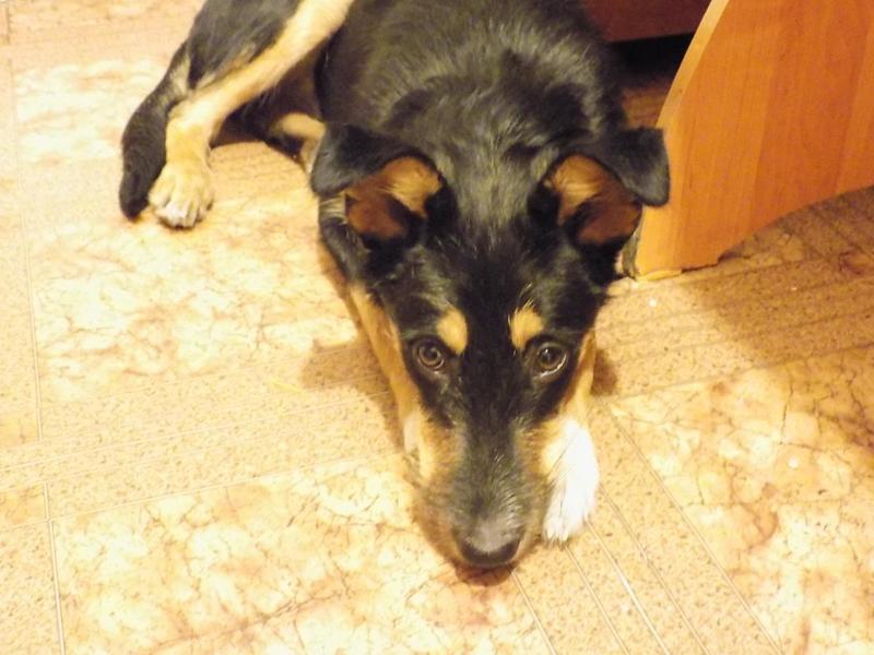 post-18204-0-56660100-1422340145_thumb.j