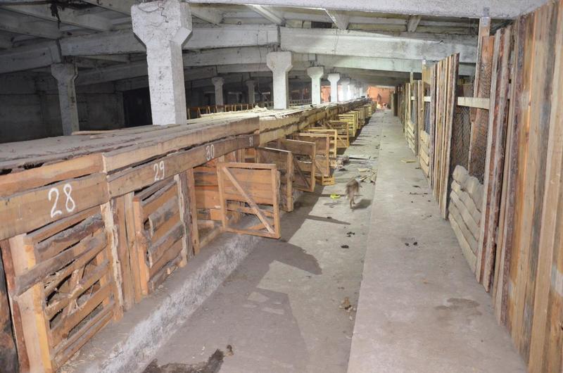 post-33751-0-20672800-1420631693_thumb.j