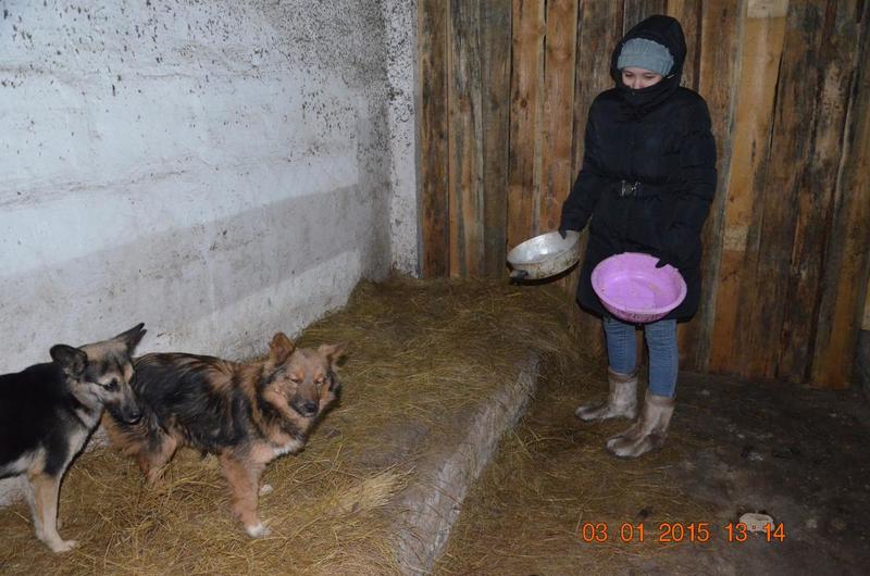 post-33751-0-37865500-1420631767_thumb.j