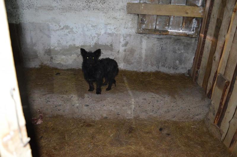 post-33751-0-61504400-1420631651_thumb.j