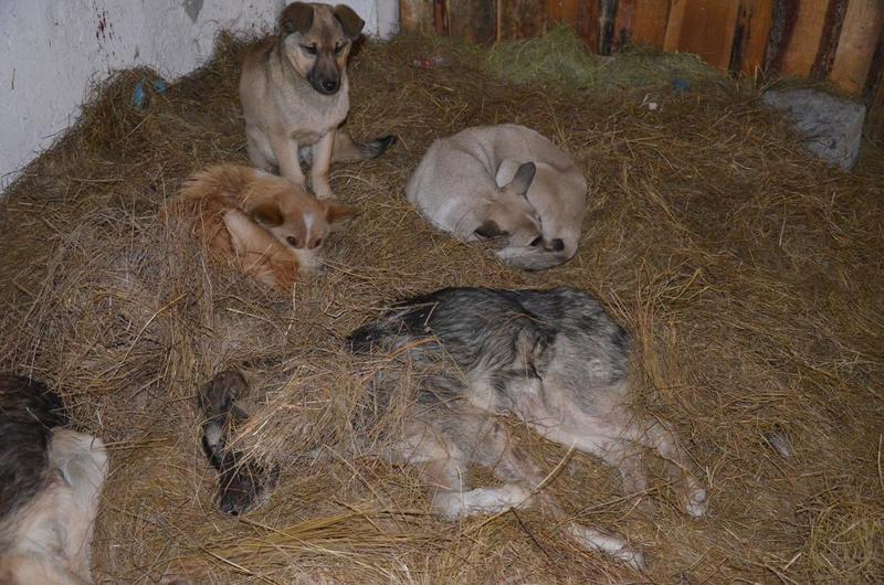 post-33751-0-84458600-1420631729_thumb.j