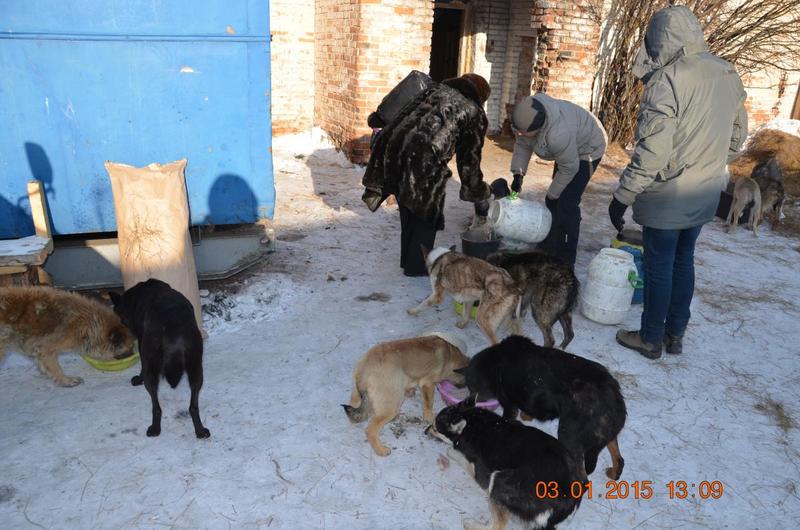 post-33751-0-97010900-1420631748_thumb.j