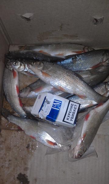 post-44015-0-57156400-1422196409_thumb.j