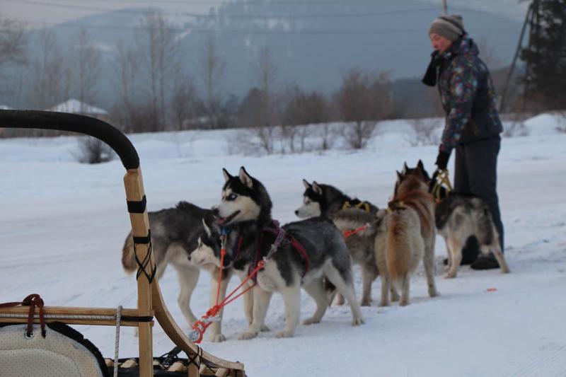 post-49415-0-29940100-1421217353_thumb.j