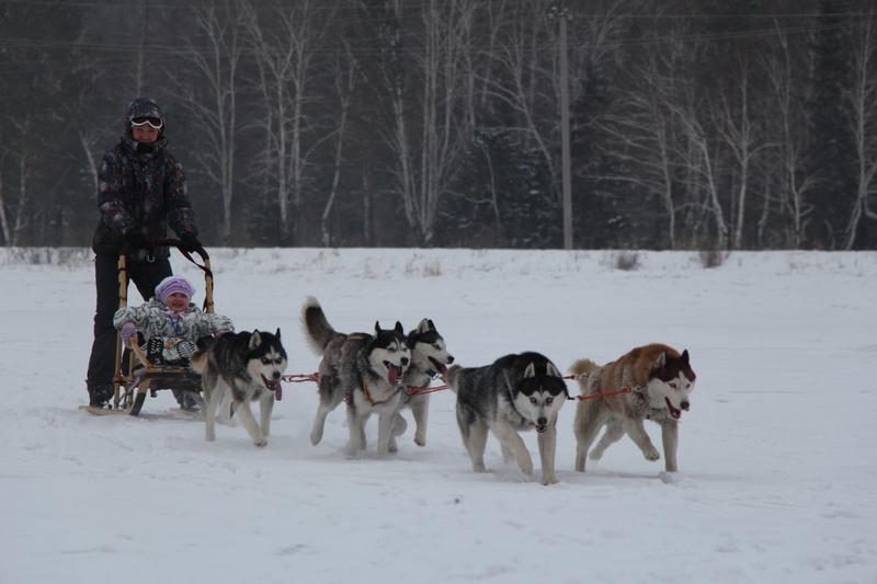 post-49415-0-47029100-1421499004_thumb.j