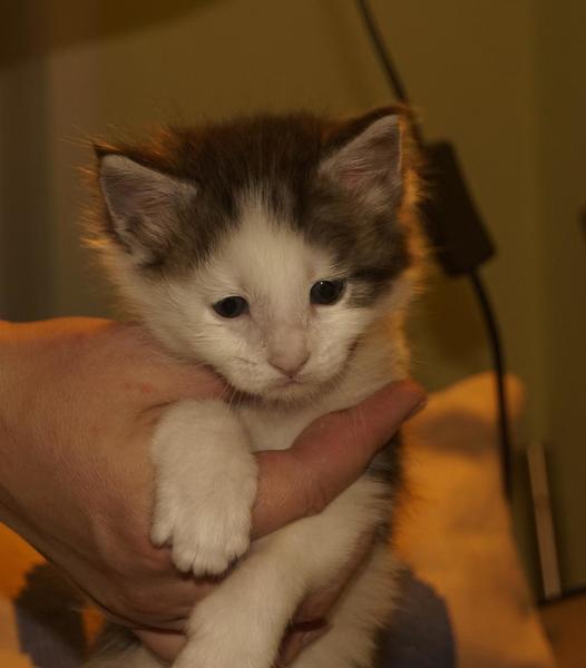 post-52802-0-52382000-1422165951_thumb.j