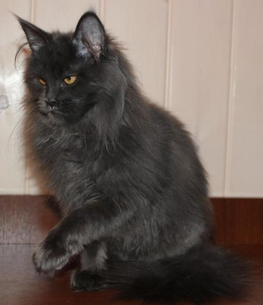 post-54398-0-22041500-1420273756_thumb.j