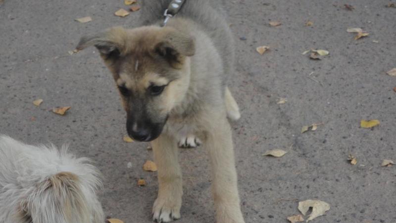 post-54482-0-14619600-1420733042_thumb.j