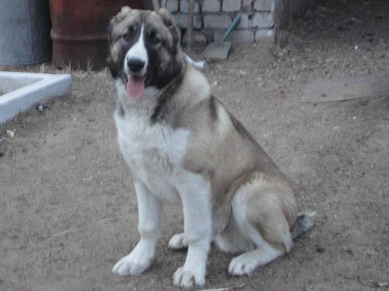 post-54482-0-44115500-1420693469_thumb.j