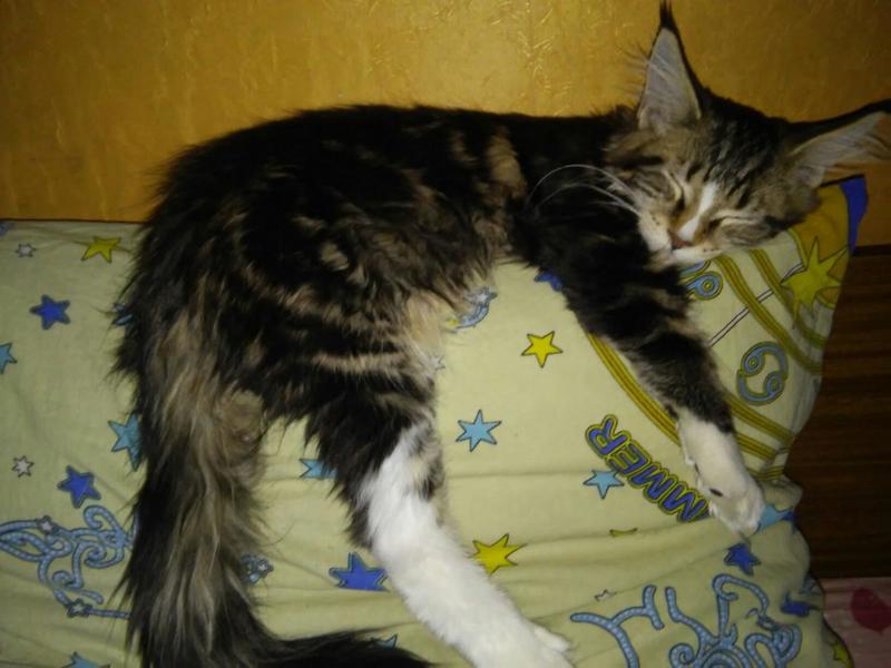 post-63905-0-88046600-1420874995_thumb.j