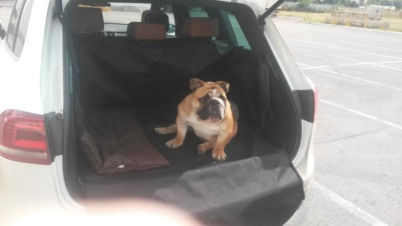 post-82669-0-73594500-1421221228_thumb.j