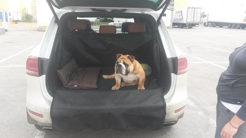 post-82669-0-91485500-1421221243_thumb.j