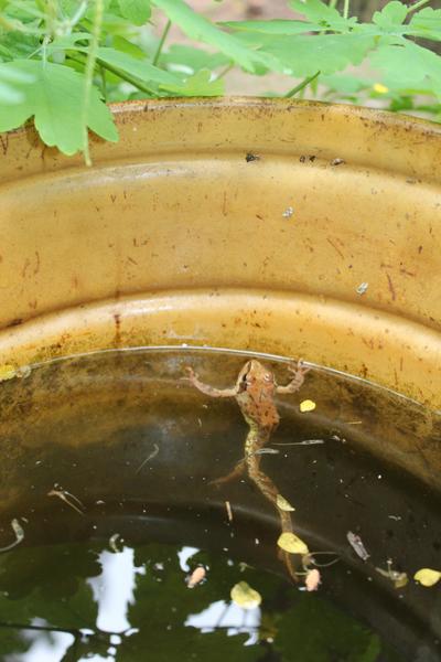 post-82829-0-80974000-1421676571_thumb.j