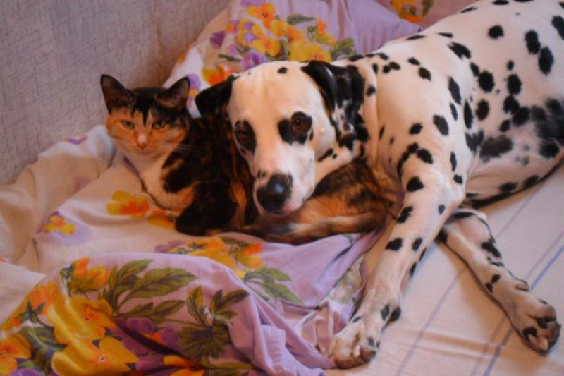 post-19766-0-69457500-1424274480_thumb.j