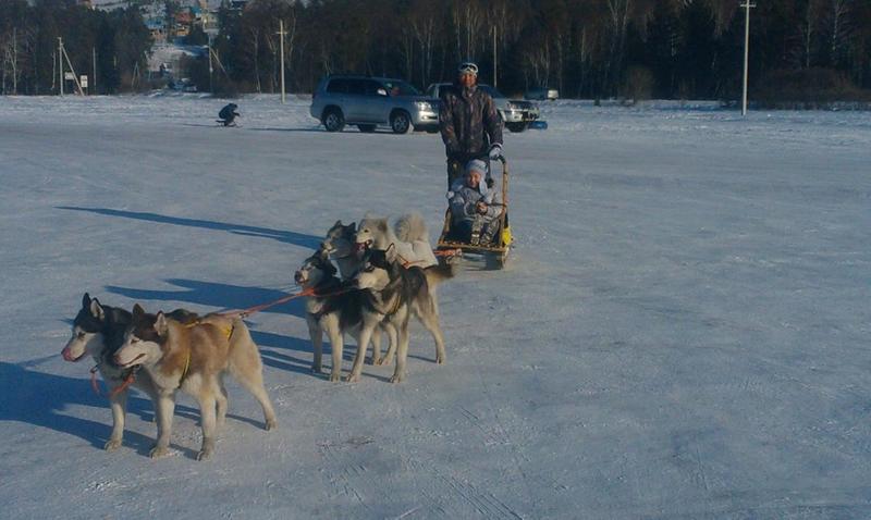 post-49415-0-03661700-1424270090_thumb.j