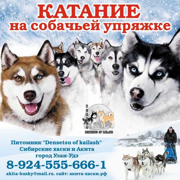 post-49415-0-20813400-1423484152_thumb.j