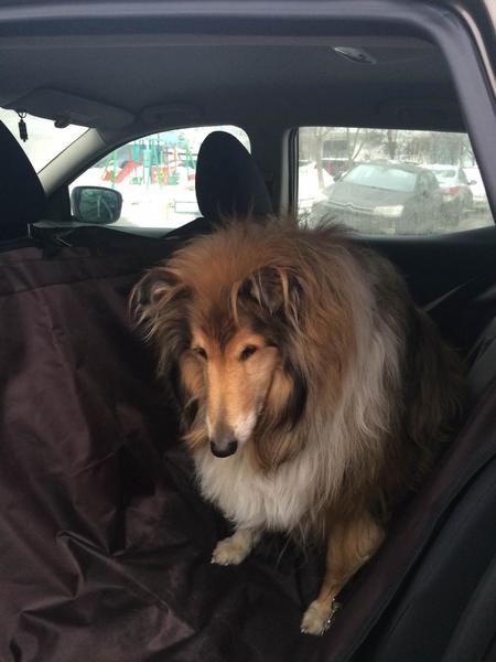 post-82669-0-05964700-1423216707_thumb.j