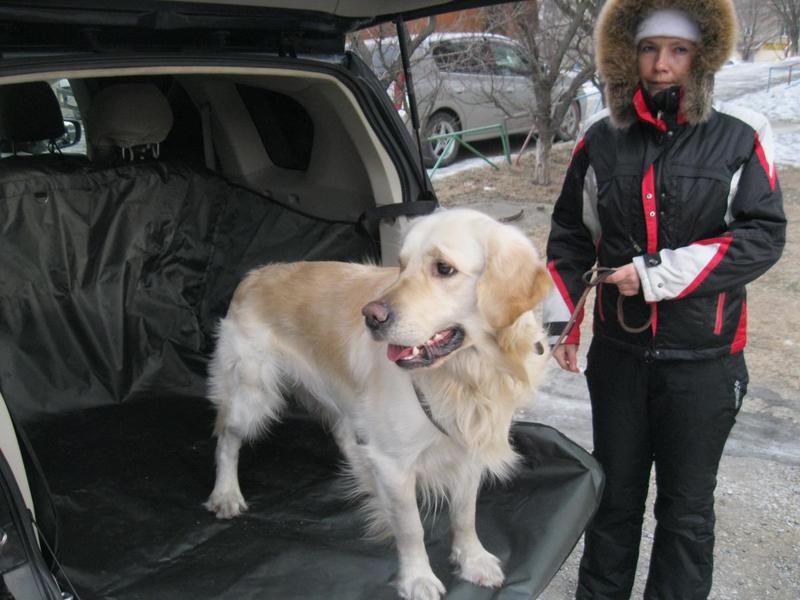 post-82669-0-21217300-1423731753_thumb.j