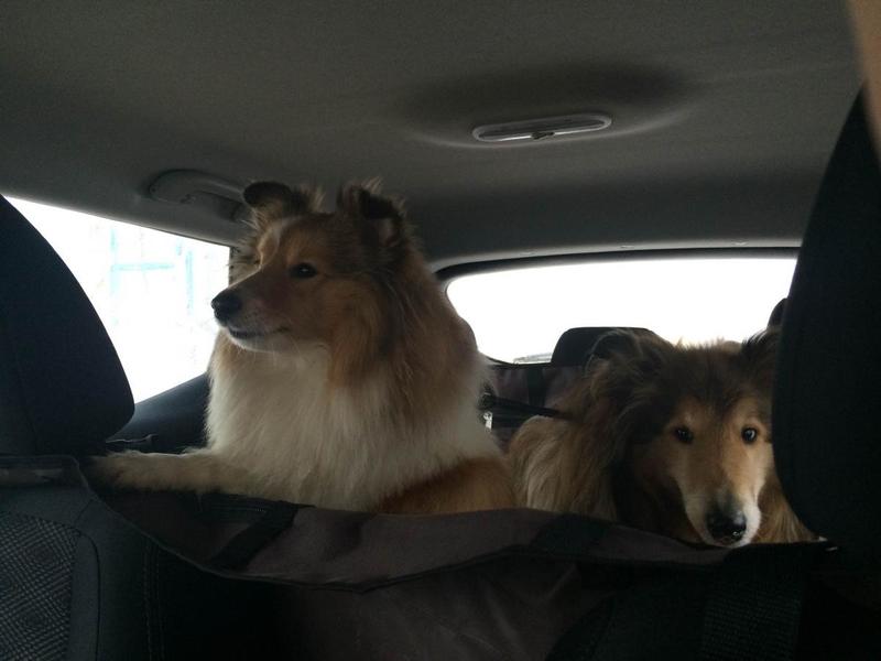 post-82669-0-57826200-1423216698_thumb.j