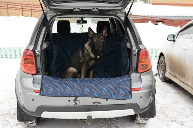 post-82669-0-66076400-1424548913_thumb.p