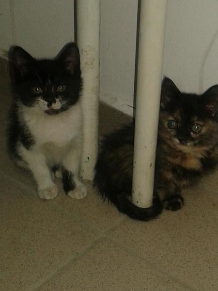 post-83364-0-81232800-1422792022_thumb.j