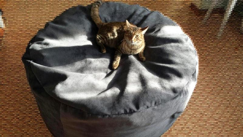 post-19566-0-47721700-1426814637_thumb.j