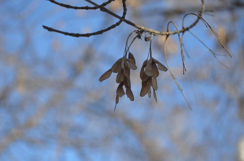 post-31356-0-24458500-1426489765_thumb.j