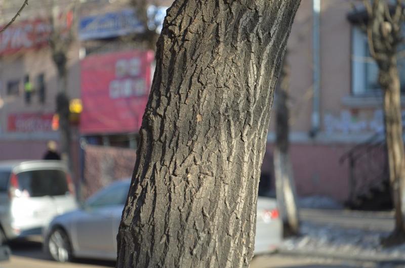 post-31356-0-72142700-1426489746_thumb.j