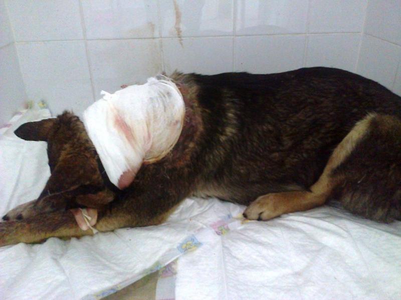 post-33751-0-09671800-1426698425_thumb.j