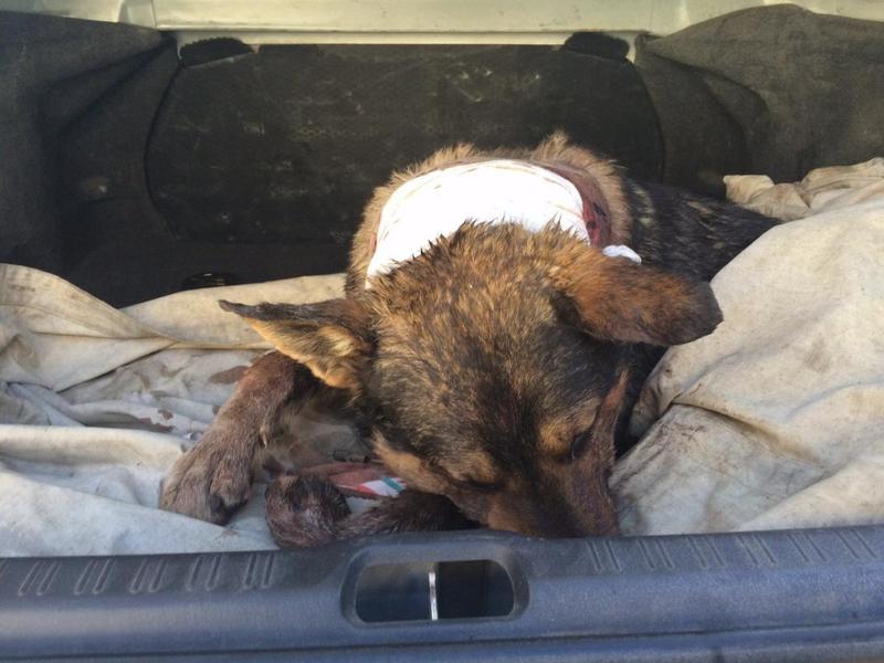 post-33751-0-12642800-1426698135_thumb.j