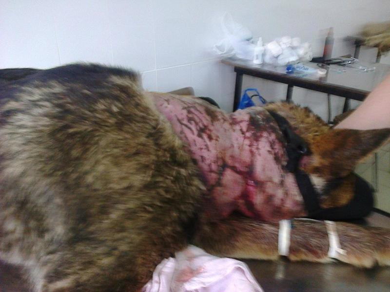 post-33751-0-31168100-1426698408_thumb.j