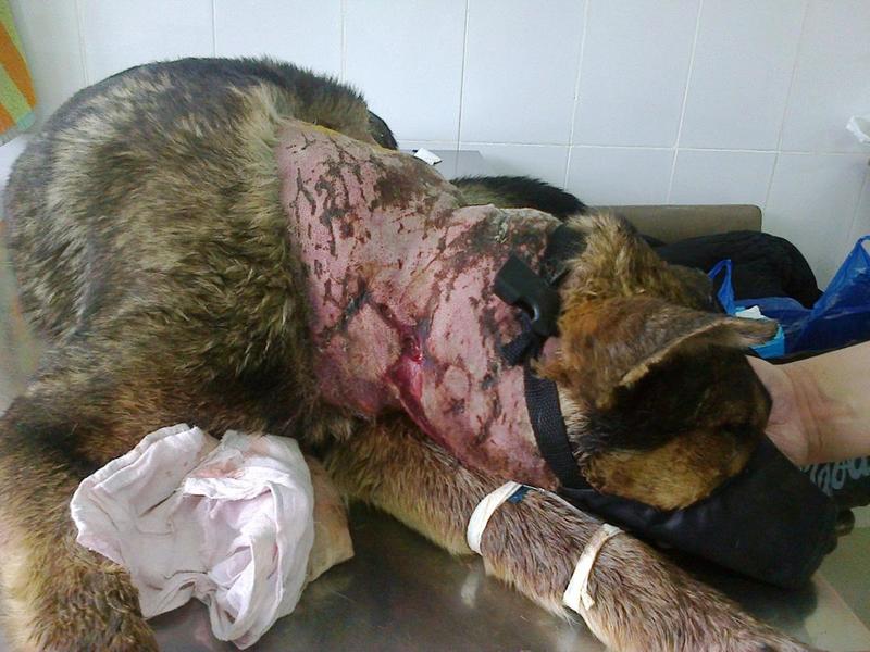 post-33751-0-62139900-1426698432_thumb.j