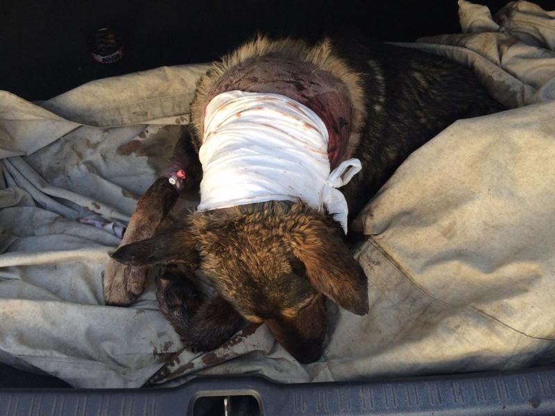 post-33751-0-79118500-1426698111_thumb.j