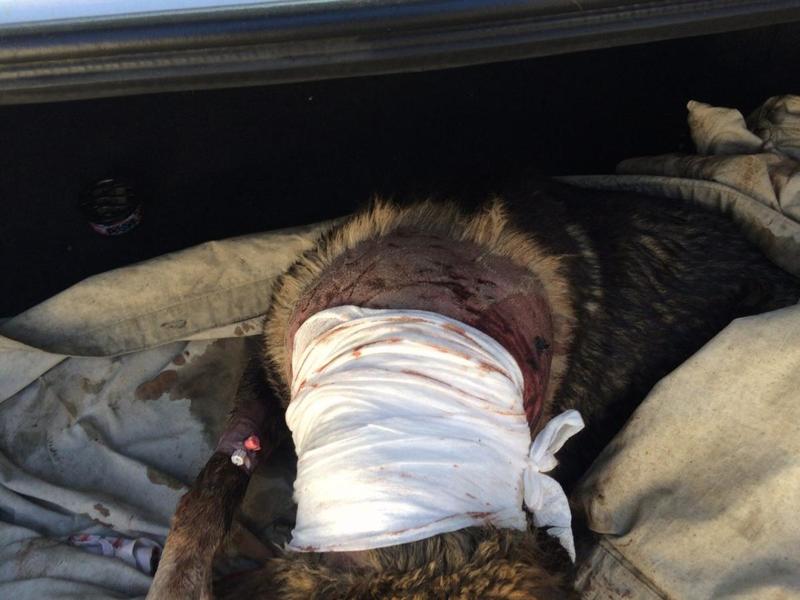 post-33751-0-86234700-1426698107_thumb.j