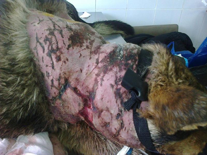 post-33751-0-97341900-1426698438_thumb.j