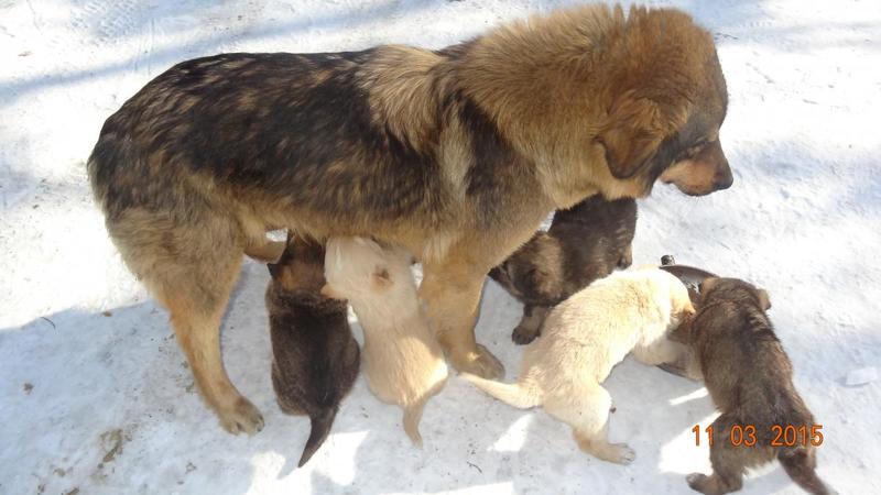 post-38876-0-35264800-1426048645_thumb.j