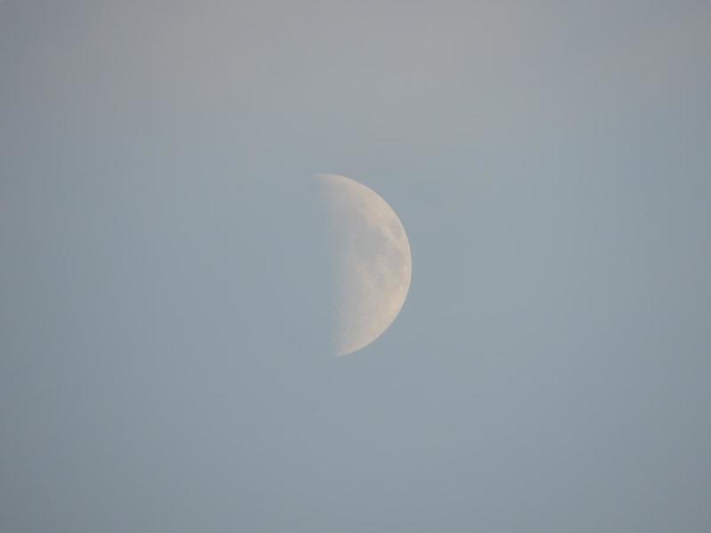 post-42702-0-16037300-1427609749_thumb.j