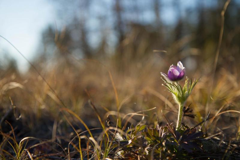 post-48241-0-34982300-1426153256_thumb.j