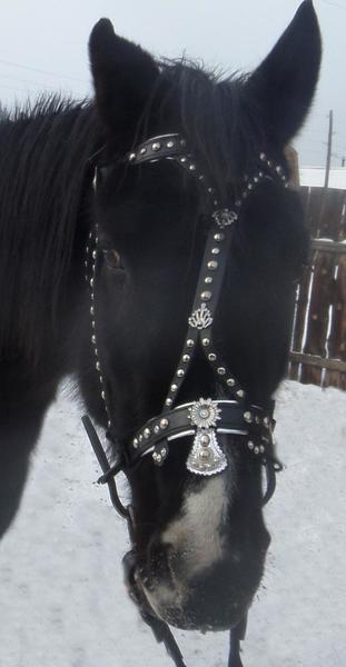 post-65722-0-03604300-1425374506_thumb.j