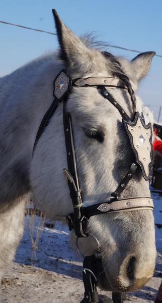 post-65722-0-62082000-1425374476_thumb.j