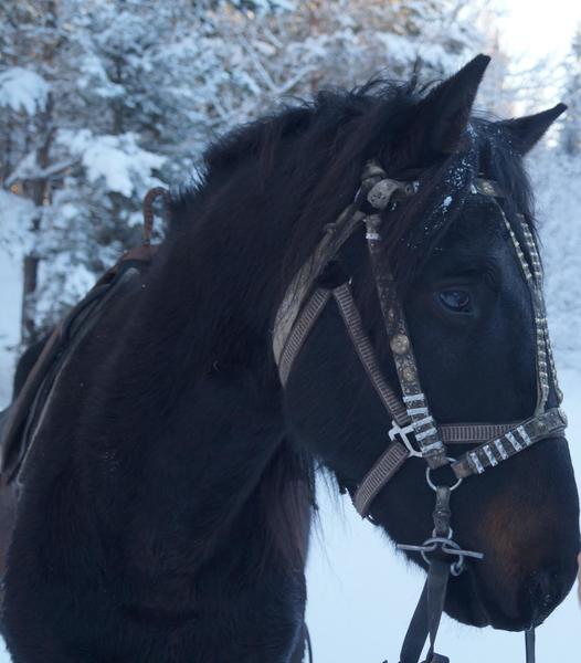 post-65722-0-78025200-1425374396_thumb.j