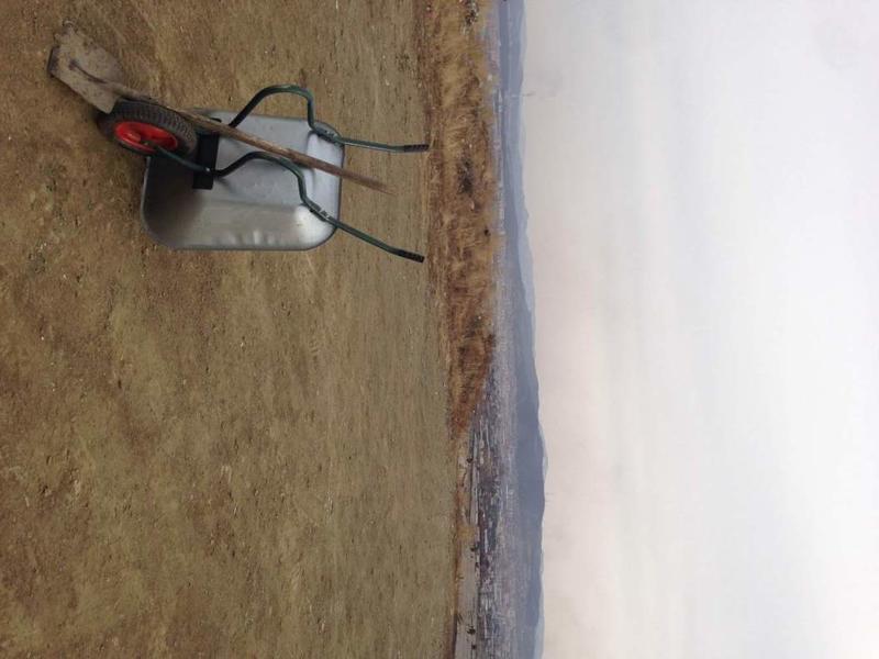 post-1593-0-88011600-1427972309_thumb.jp