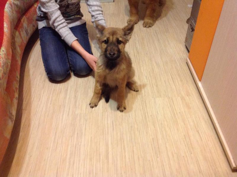 post-1857-0-86265600-1428076306_thumb.jp