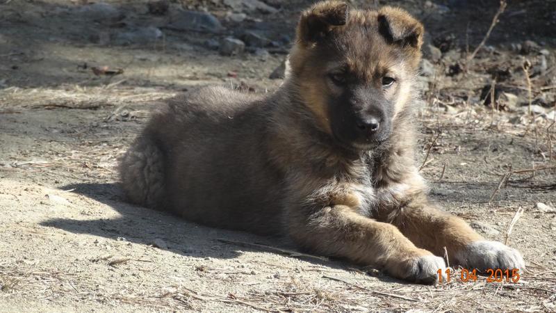 post-38876-0-53646700-1428762376_thumb.j