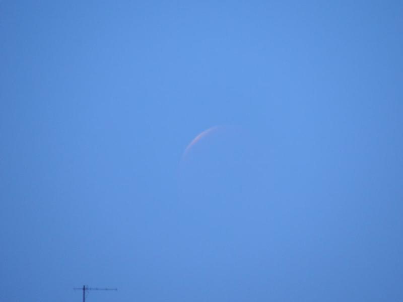 post-42702-0-60253800-1428157535_thumb.j