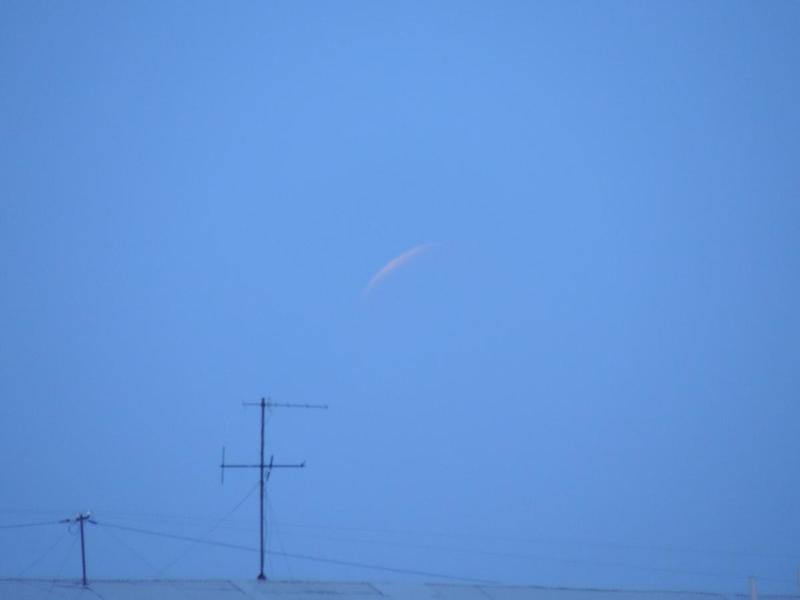 post-42702-0-84693500-1428157528_thumb.j